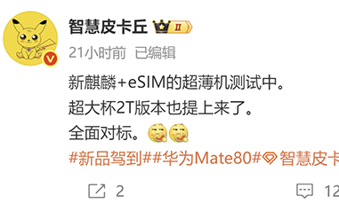 搭載全新麒麟芯片，采用eSIM設計，華為或測試超薄新機